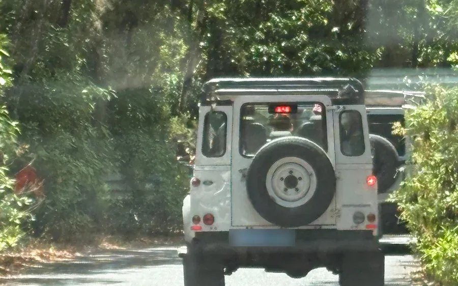 A white four-wheel-drive jeep on a shaded forest road