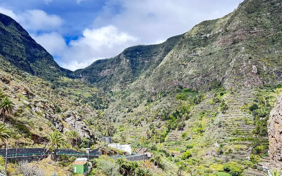 Green terraced slopes in a deep mountain valley