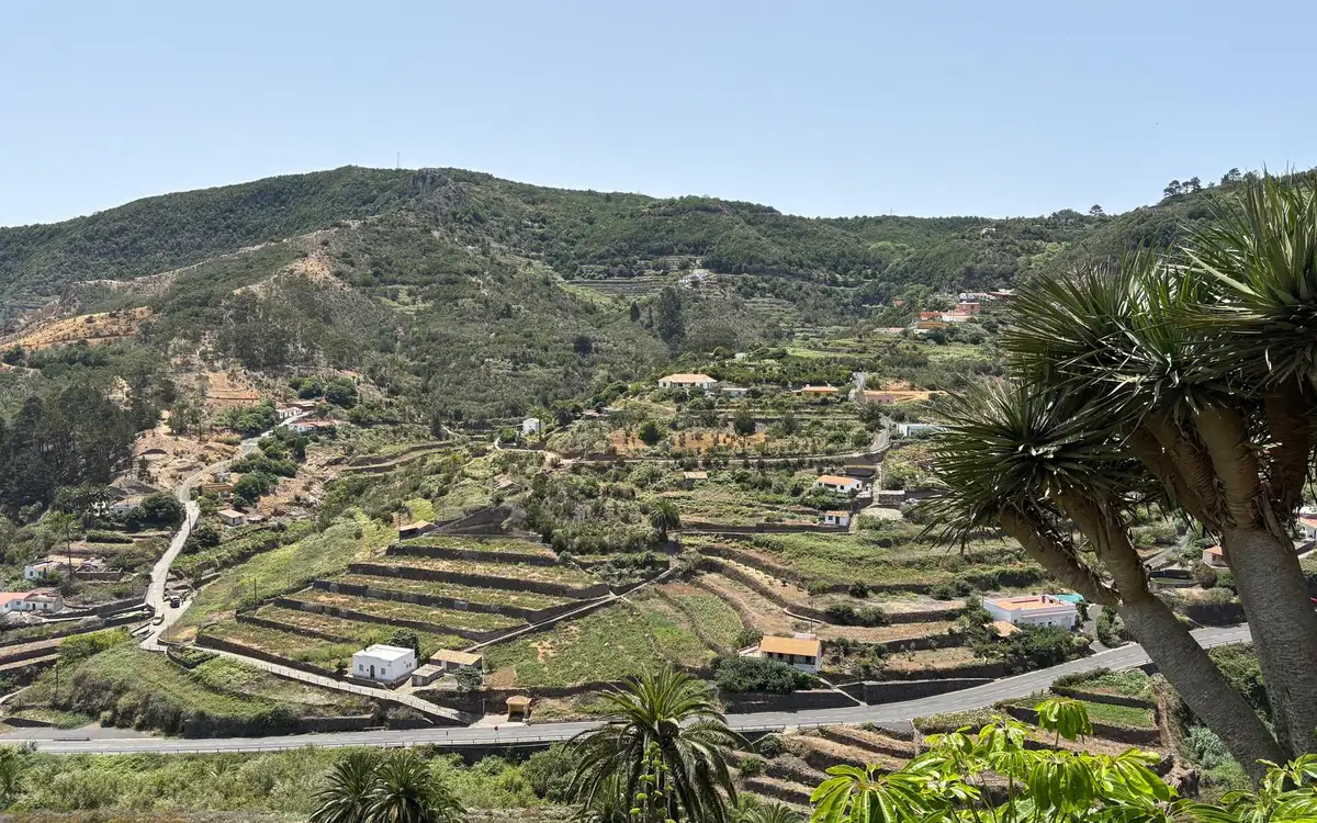 Terraced green hills and scattered houses on La Gomera